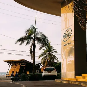 https://palmetto-eliptic.cartagena-hotels.org